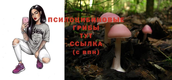 крисы Алексин