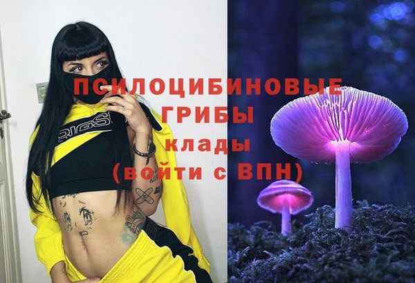 гидропоника Алзамай