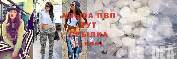 гидропоника Алзамай