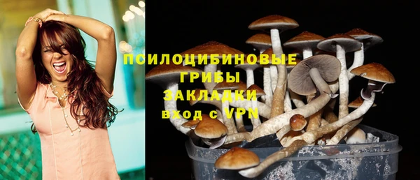 крисы Алексин