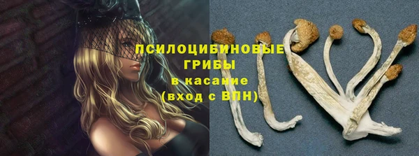 каннабис Алексеевка