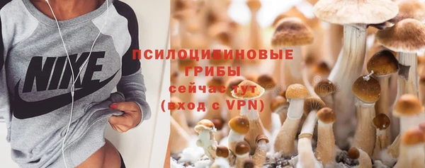 гидропоника Алзамай