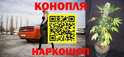 прущие крисы Канаш