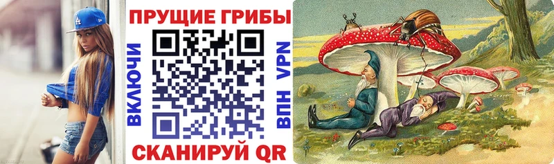 мега вход Лесной Псилоцибиновые грибы Magic Shrooms
