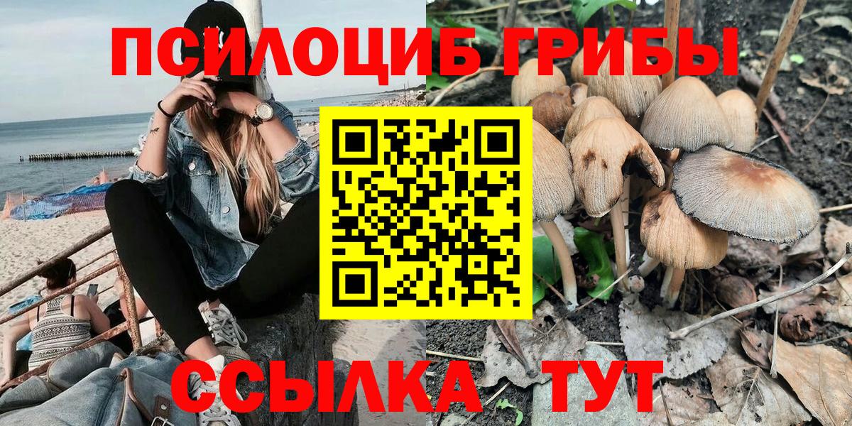 Лесной  Псилоцибиновые грибы Psilocybine cubensis  Псилоцибиновые грибы ЛСД  Вход с VPN 