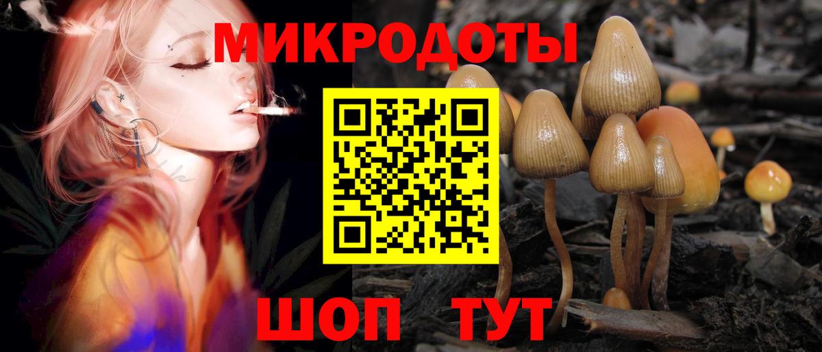 Псилоцибиновые грибы ЛСД Лесной
